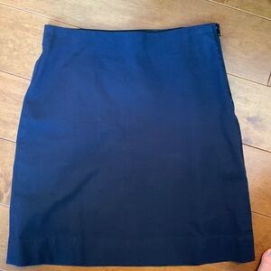 Everlane size 2 Pencil Skirt